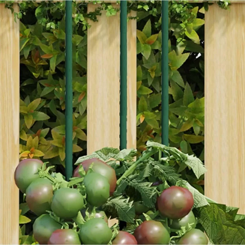 Garden Plant Stakes Vidaxl Steel Climbing Frame Support, Pacote Com 30