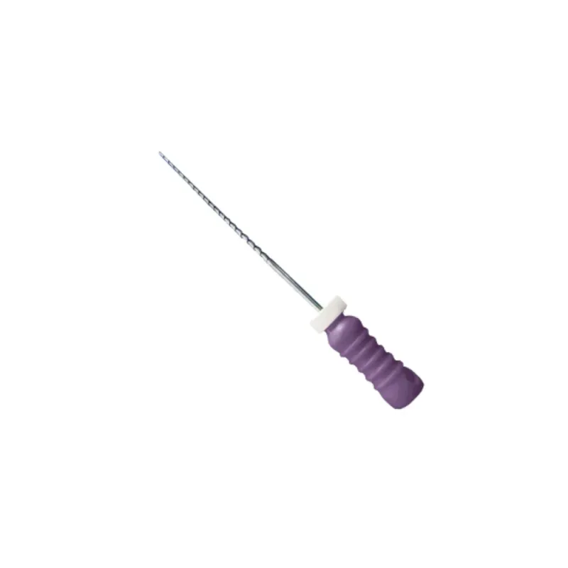 Lima K-file N.10 21MM - Dentsply