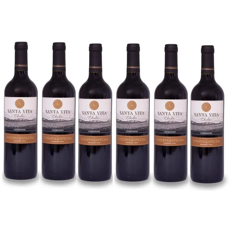 Kit 6 Vinho Tinto Reserva Especial Santa Vita Carmenere 2016
