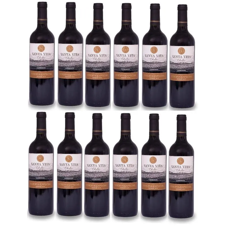 Kit 12 Vinho Tinto Reserva Especia Santa Vita Carmenere 2016