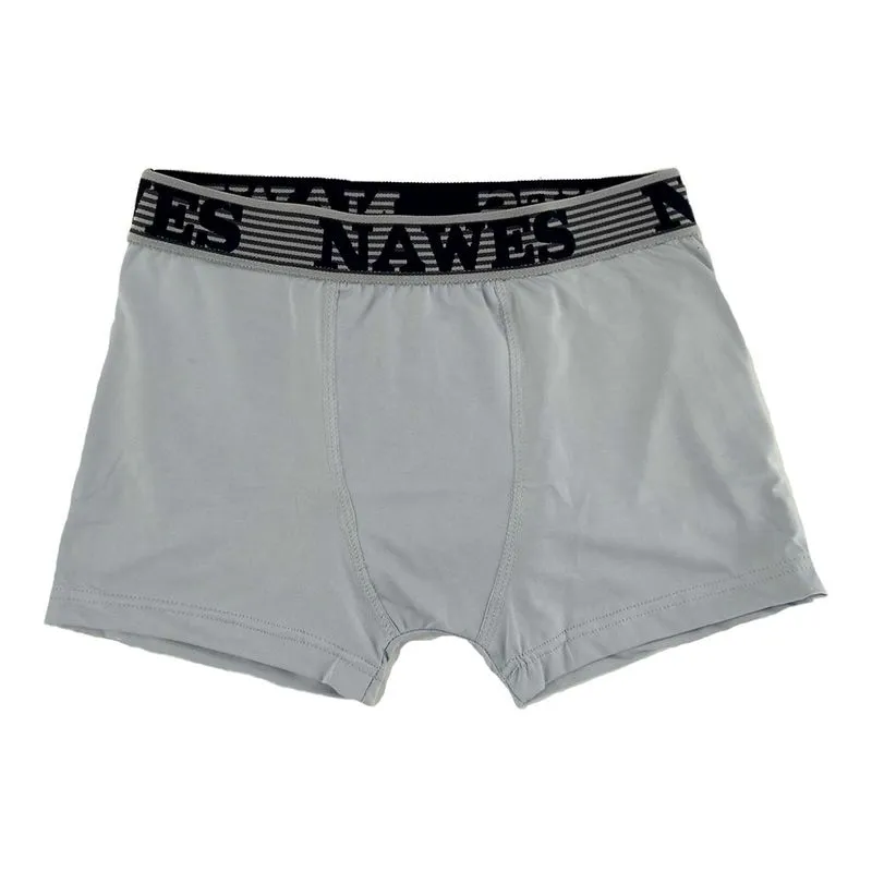 Cueca Boxer Adulto em Microfibra Nawes