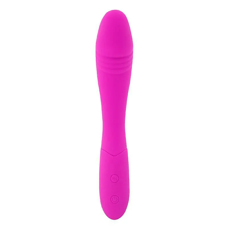 Vibrador Ponto G Recarregável com 10 Modos de Vibração Sexy Import