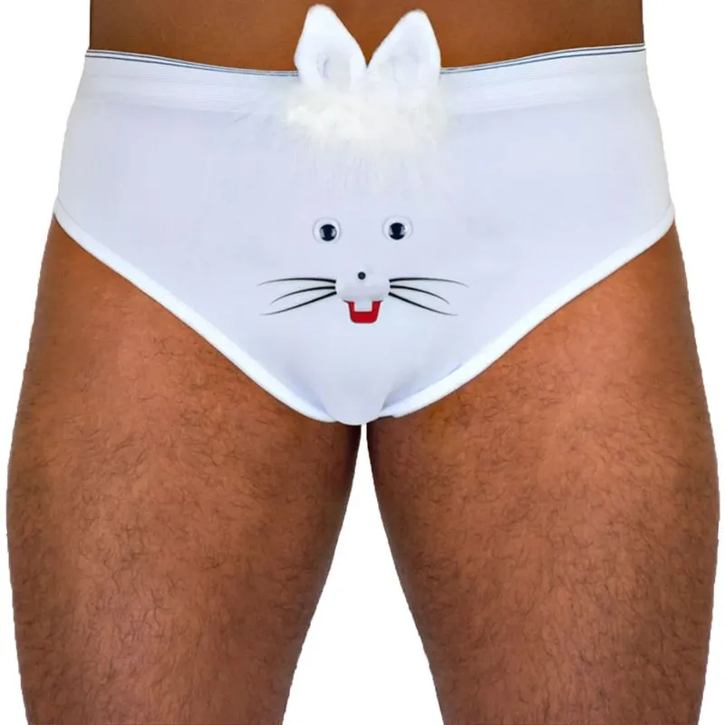 Cueca Slip Coelhinho Pau Brasil