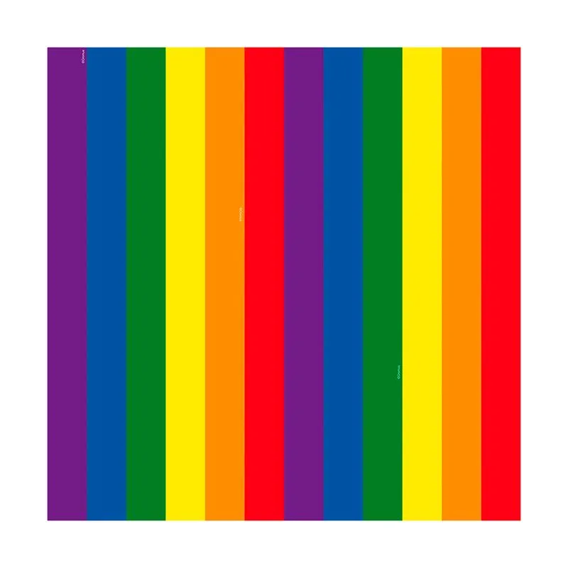 Saco Para Presente Perolado 25x37cm LGBT Cromus
