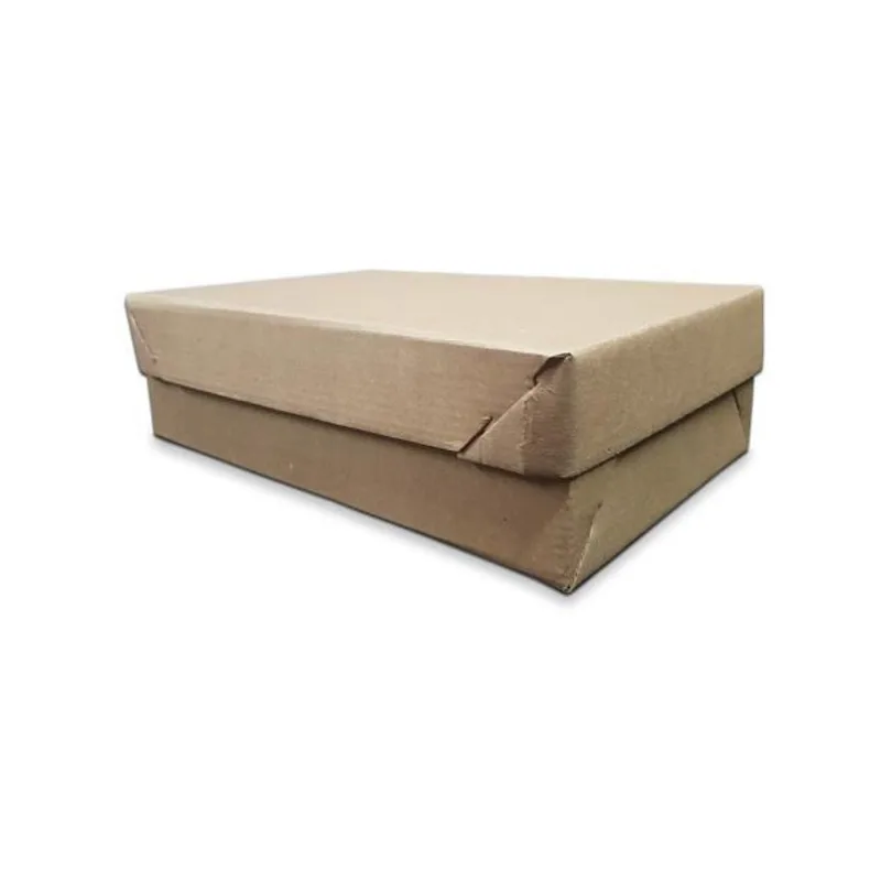 Caixa Para Correios Sedex Pac Doces Salgados 20X14X6Cm 50 Un