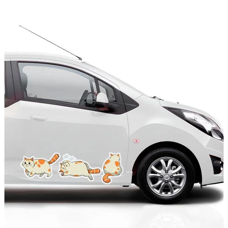 Adesivo De Carro 3 Emoções Do Gato