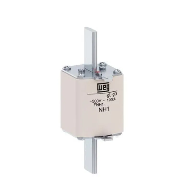 Fusível Retardado Tipo Nh Tamanho 01 125a Fnh01-125u Weg