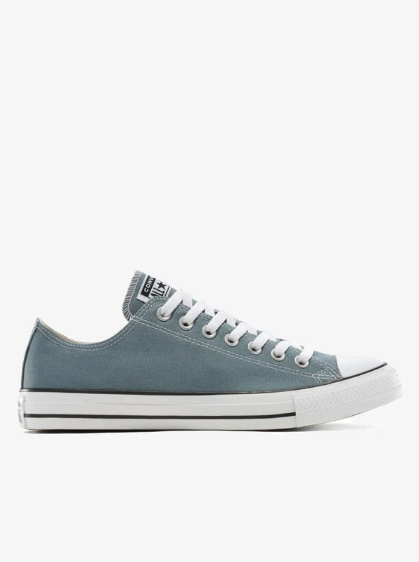 Chuck Taylor All Star Low Unisex GRY/GRY / 13