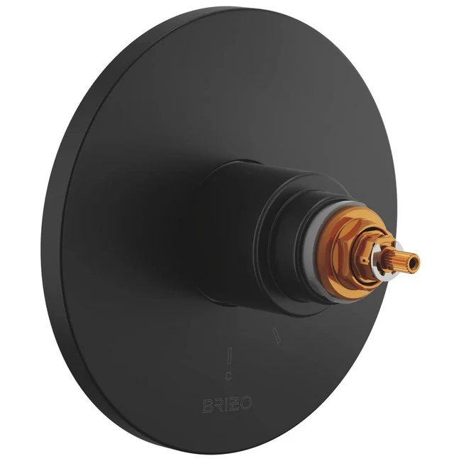 Brizo - Roccesco TempAssure Thermostatic Valve Only Trim - Less Handles Matte Black