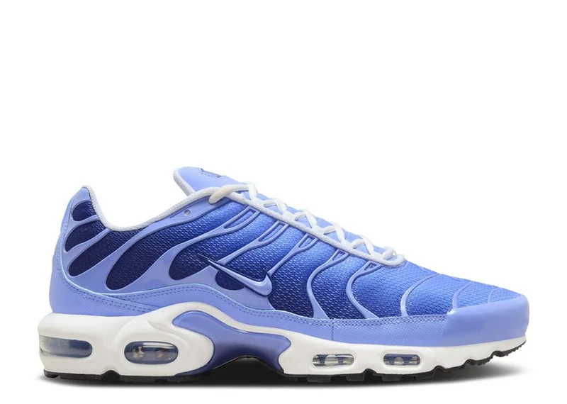 Nike Air Max Plus Royal Pulse 40 EU