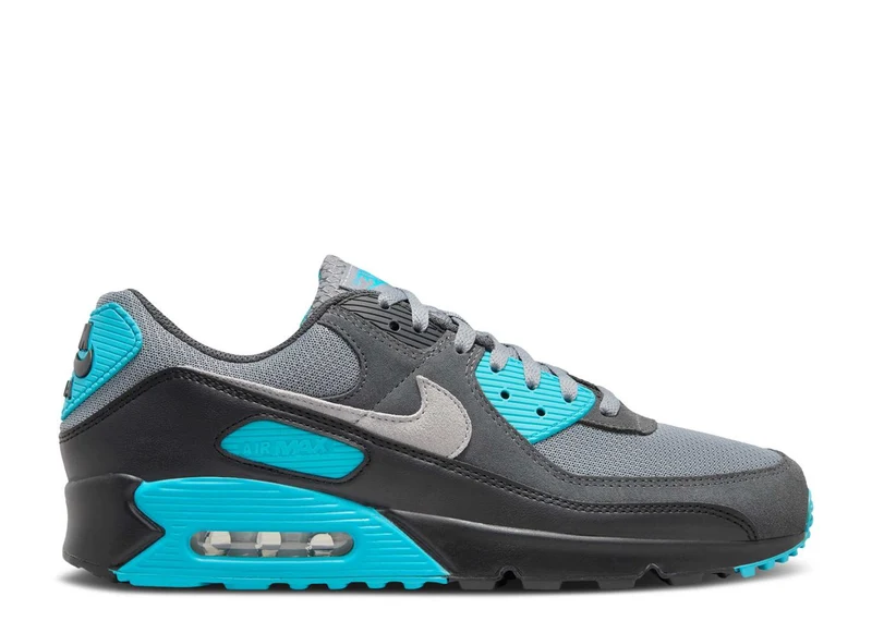 Nike Air Max 90 Cool Grey Dusty Cactus Black Wolf Grey 39 EU