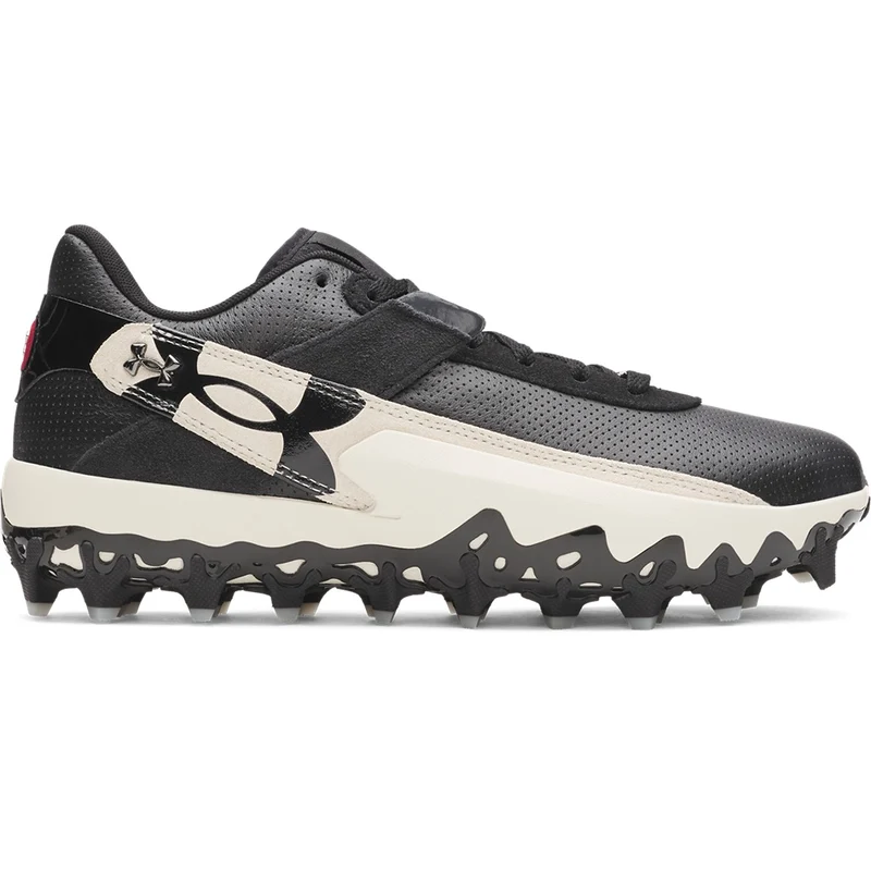 Under Armour Harper 10 Pro TPU Men's Baseball Cleats (2026) 9 / Black