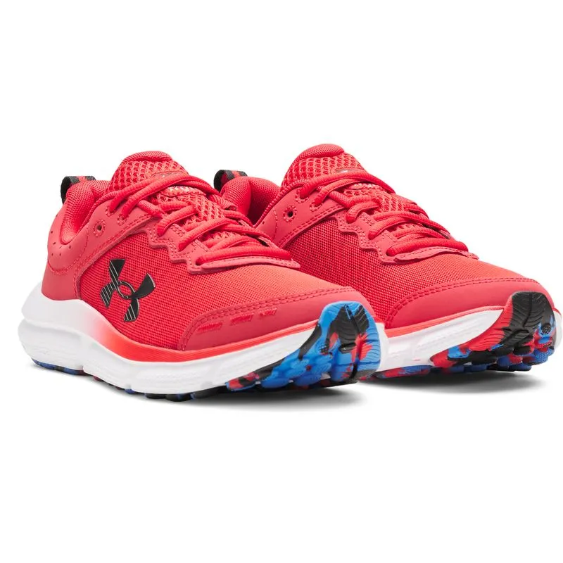 UA BGS Assert 10 4,5