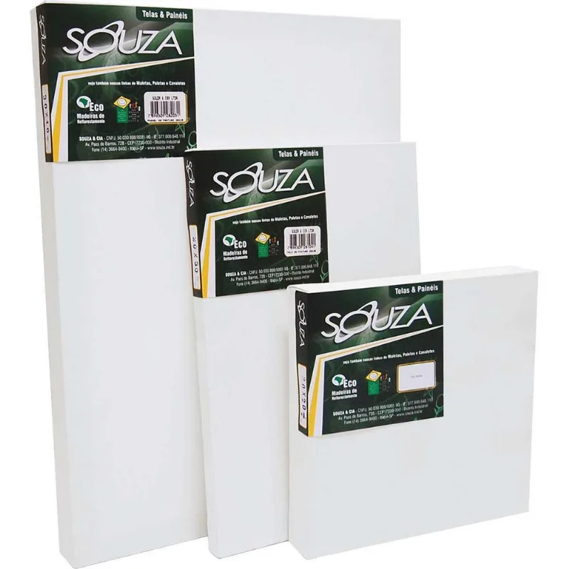 Tela Painel Para Pintura 40x50cm C/mold.madeira Pct Com 02