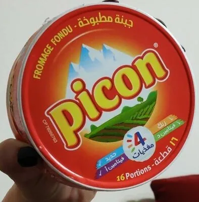 Picon