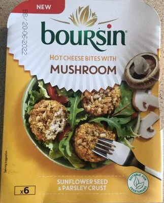 Hot cheese bites with mushroom