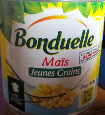 Maïs Jeunes grains