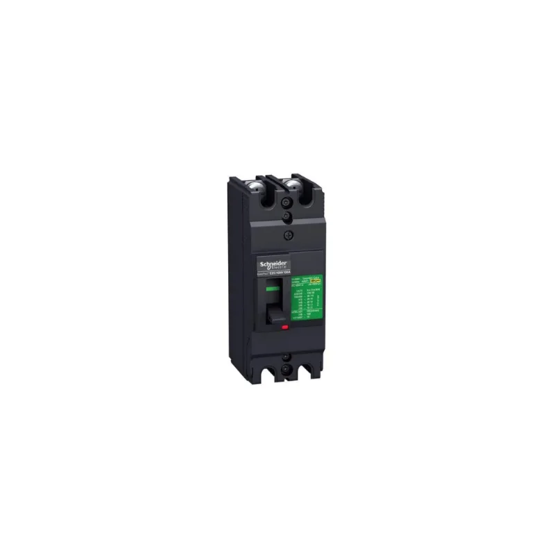 Disjuntor 2P 50A 50Ka 240V Ezc100H2050 Schneider