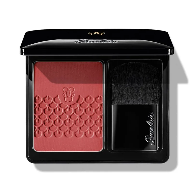 Rose Aux Joues Blush 02 Chic Pink