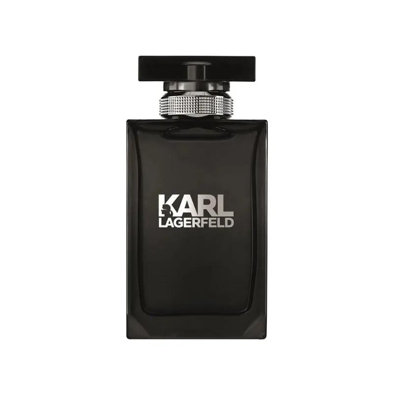 Karl Lagerfeld Masculino Eau De Toilette 100ml