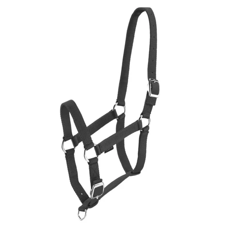 Cabresto de Hipismo SCHOOLING Vermelho - Pônei/Cavalo Halter schooling red, 4 Preta 2
