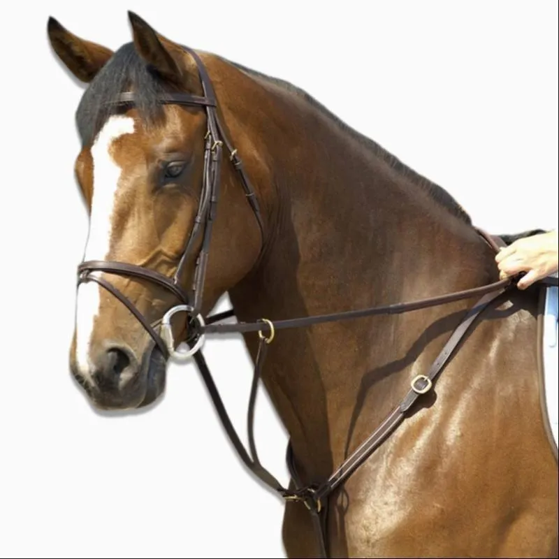 Peitoral-gamarra de Equitação SCHOOLING Preto - Cavalo DARK HAVANA COLLAR AND MARTINGALE FS, FS