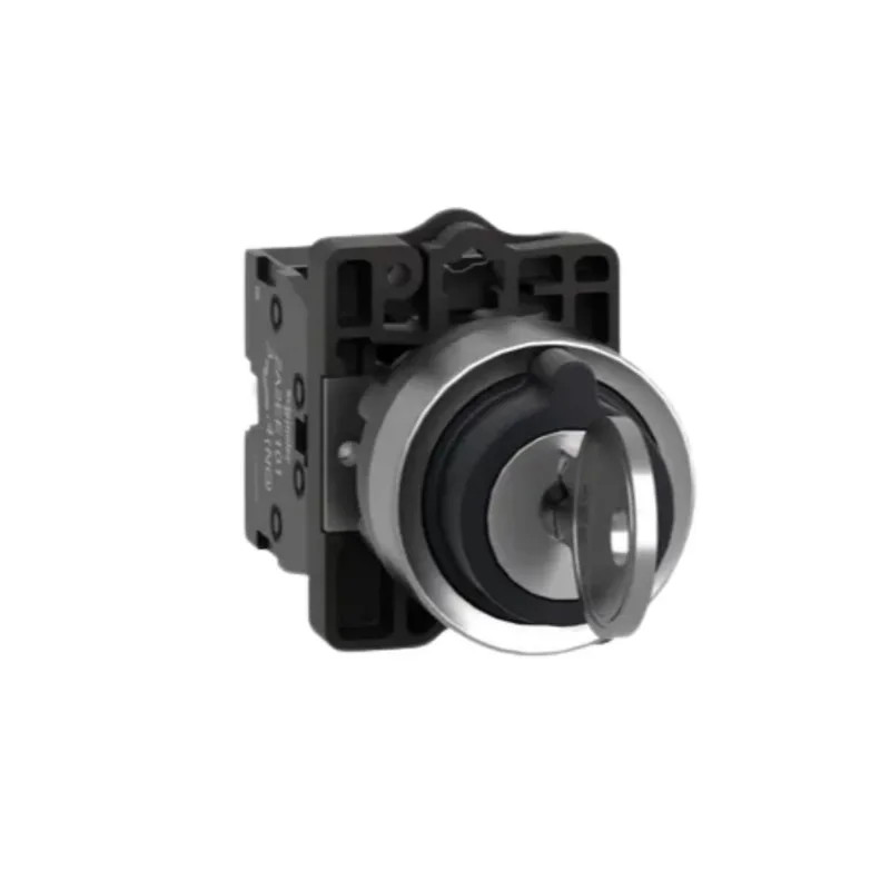 Comutador 3 Posições 22Mm 2Na Fixa Com Chave Plástico Xa2Eg33 Schneider