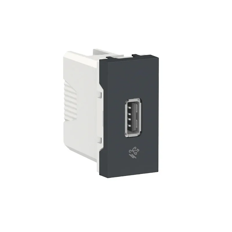 Módulo Usb Conector De Dados S70547194 Grafite Orion Schneider