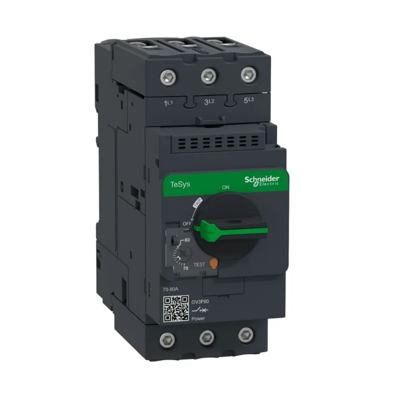 Disjuntor Proteção Motor 70-80A Gv3-P80 Everlink Schneider
