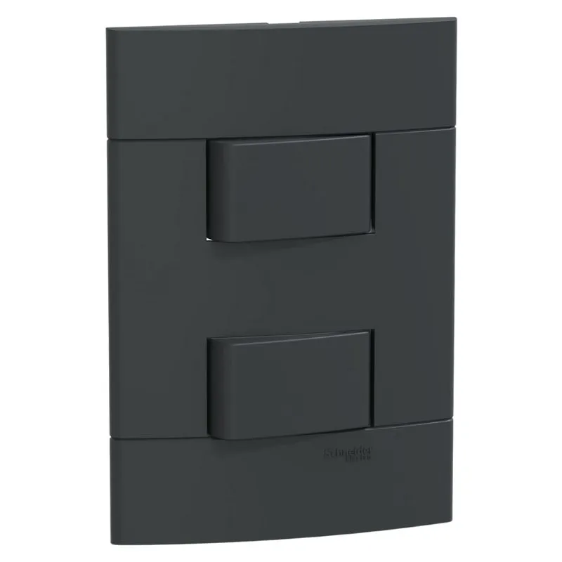 Conjunto Montado 2 Interruptores Simples S412001 Grafite Fosco Lunare Up Schneider