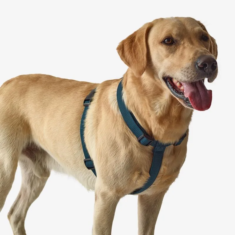 Peitoral de Cão 100, GG