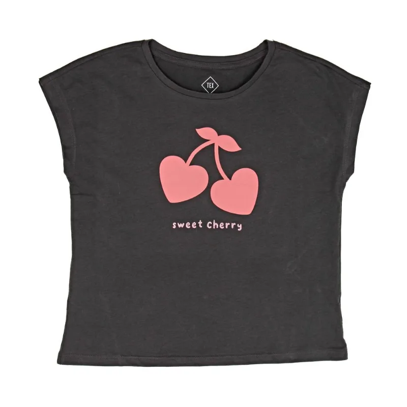 Remera Tex manga corta estampada talle 4-5 años gris