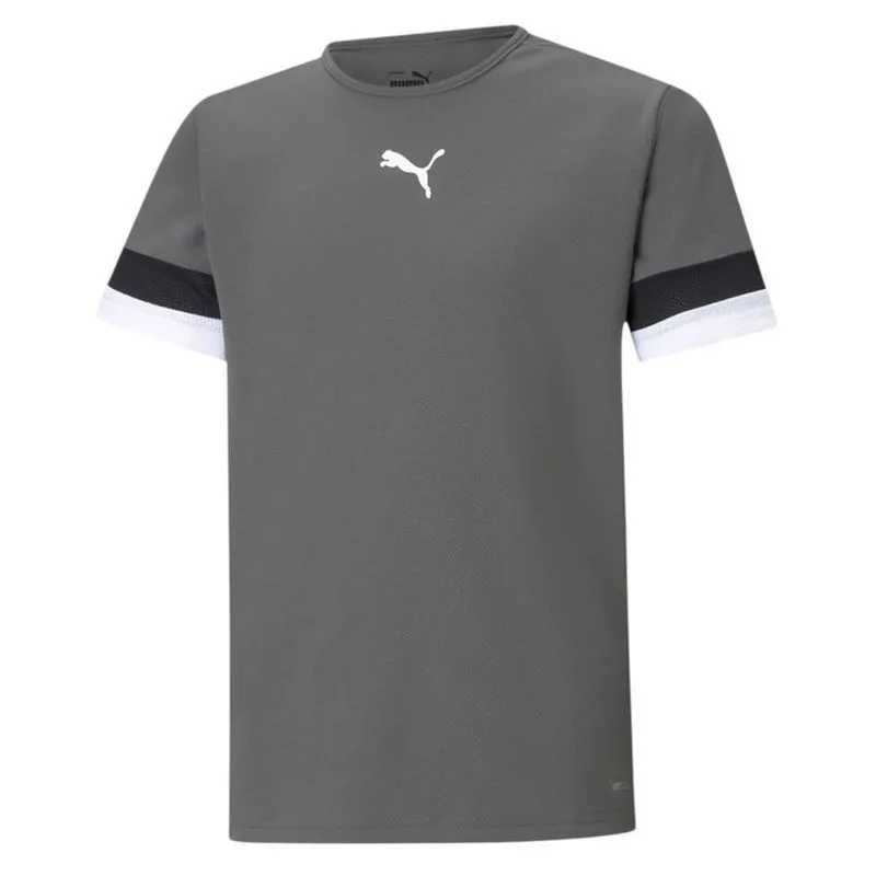 Camiseta Puma Teamrise Jersey Infantil 7/8A / Cinza