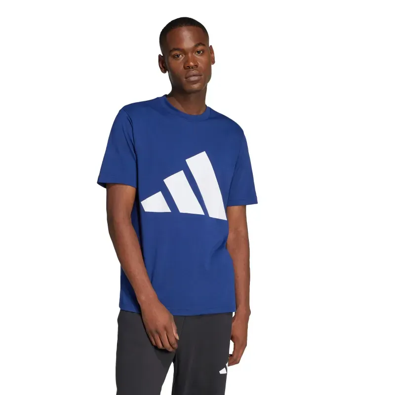 Playera adidas Essentials Big Logo Hombre JE8940 EEEEGD-Larga