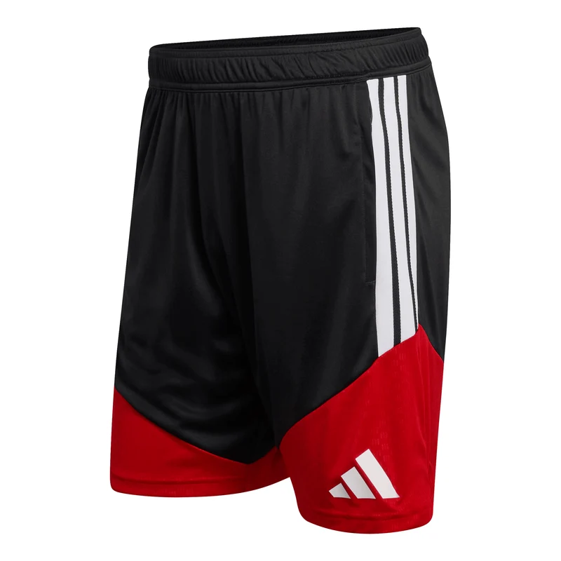 Germany Adult 2026 Training Shorts US L