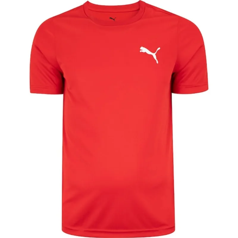 Camisa Puma Small Logo Polly Masculino