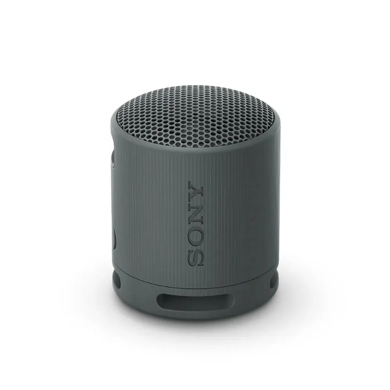 Parlante Bluetooth Sony SRS-XB100 Negro