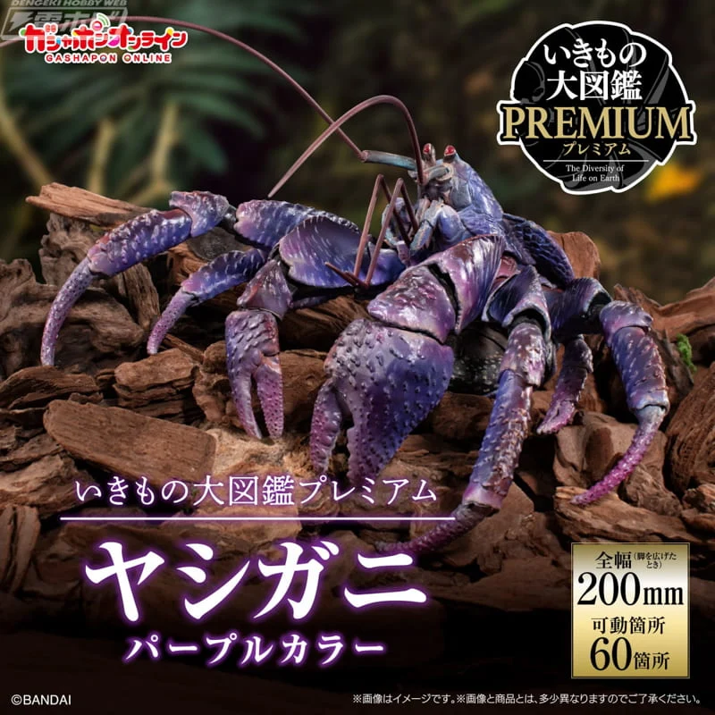 P-BANDAI - [魂SHOP限定] [GOL] 生物大圖鑑 椰子蟹 (紫色) Y7000 (4549660939078) 全款(僅限香港以外地區 (僅限香港以外地區)