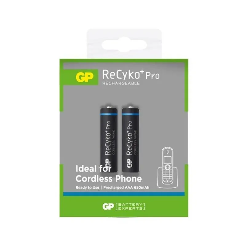 Pilha Recarregável - 2 Pilhas Palito Aaa - Recyko + Pro Gp