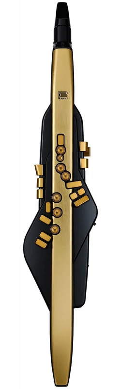 Aerophone Pro AE-30A Doré