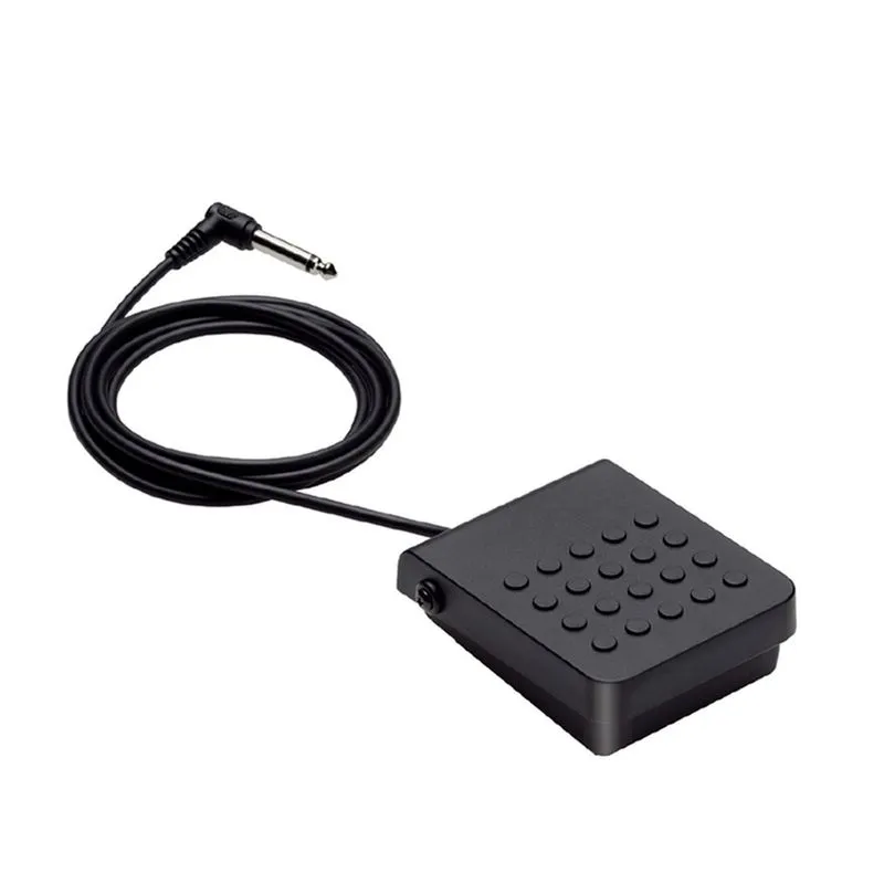 Pedal De Sustain Casio Sp3 Original