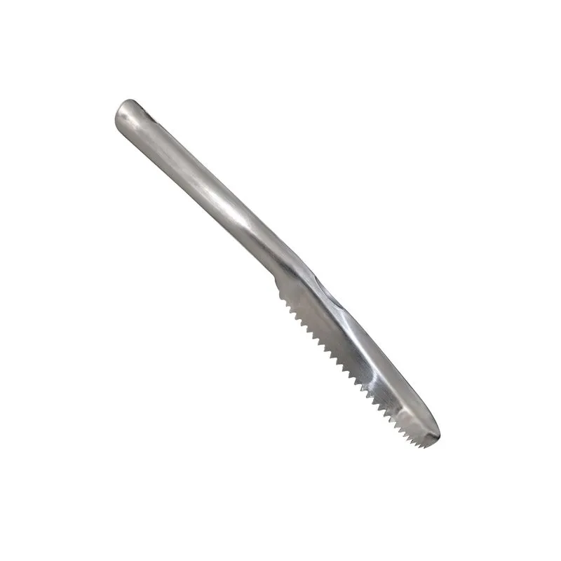 Descamador de Peixe Profissional em Aço Inox 20 cm