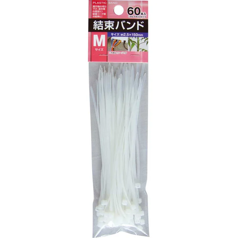 セイワ・プロ 結束バンド M 60本入り