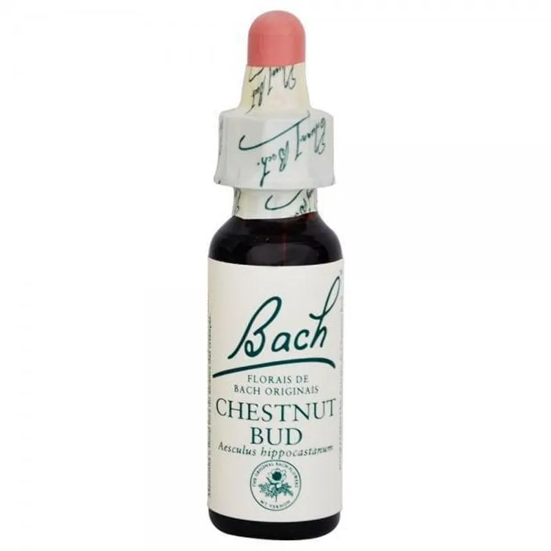 Chestnut Bud Solucao Stock Bach Original 10ml