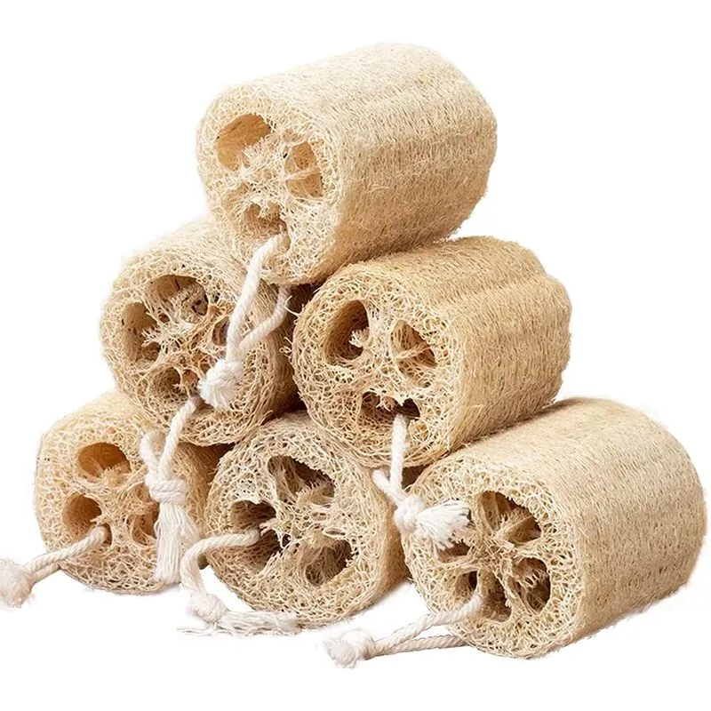 Ducha Esponja Natural Bucha Banho Esfoliante Luffa Orgânico