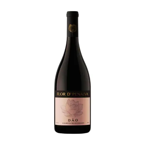 ABEGOARIA - FLOR D' PENALVA COLHEITA SELECIONADA DÃO D.O.C. TINTO 2021 - 750ML - Vinhoteca Floripa - Sua loja de vinhos em Florianópolis