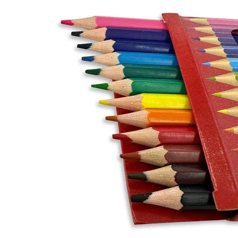 Lápis De Cor Com 12 Cores Lindas E Sortidas Pintura Desenhos