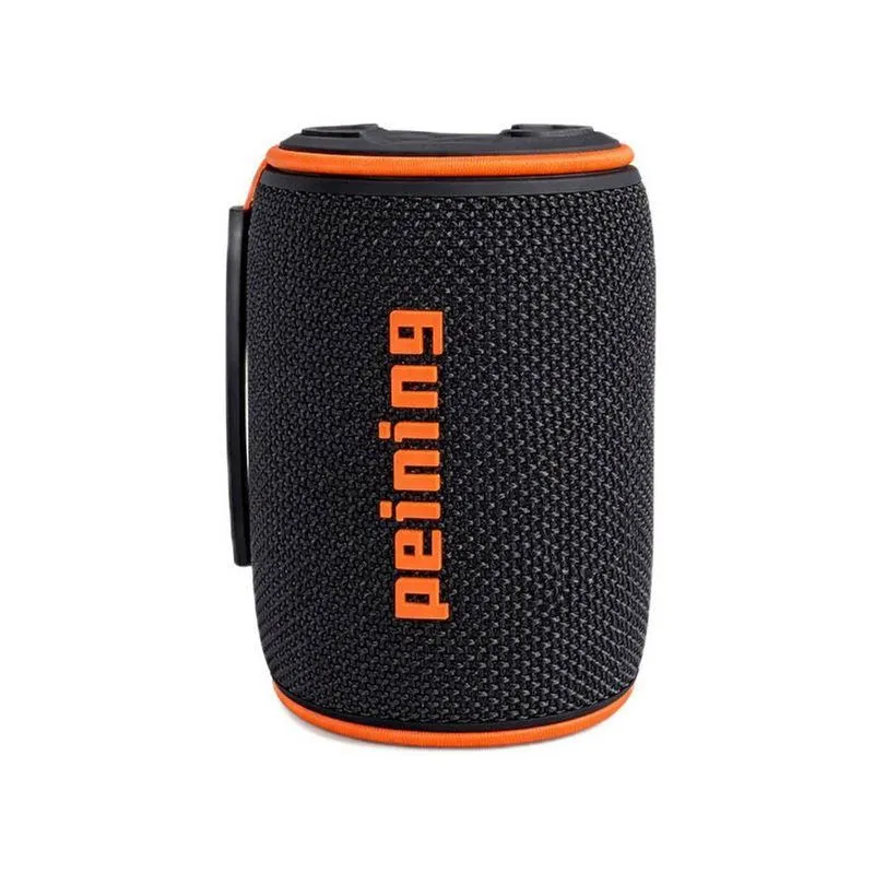 Caixa De Som Peining Pei-212bts Recarregável Com Bluetooth