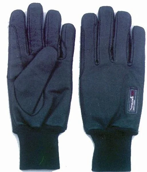 Waterproof/Thinsulate Men's Winter Gloves Black / Small