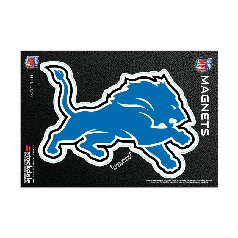 Imã Magnético Vinil 7x12cm Detroit Lions Nfl